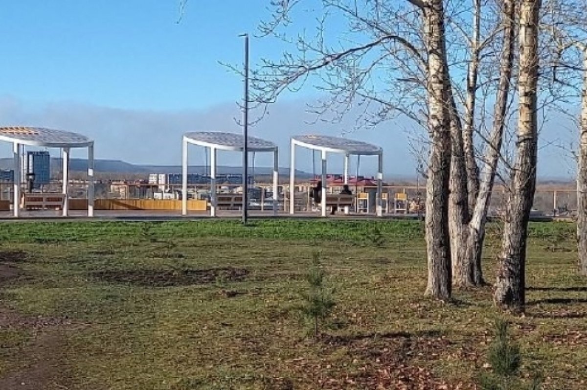    В Ачинске при благоустройстве «Берёзовой рощи» похитили бюджетные деньги