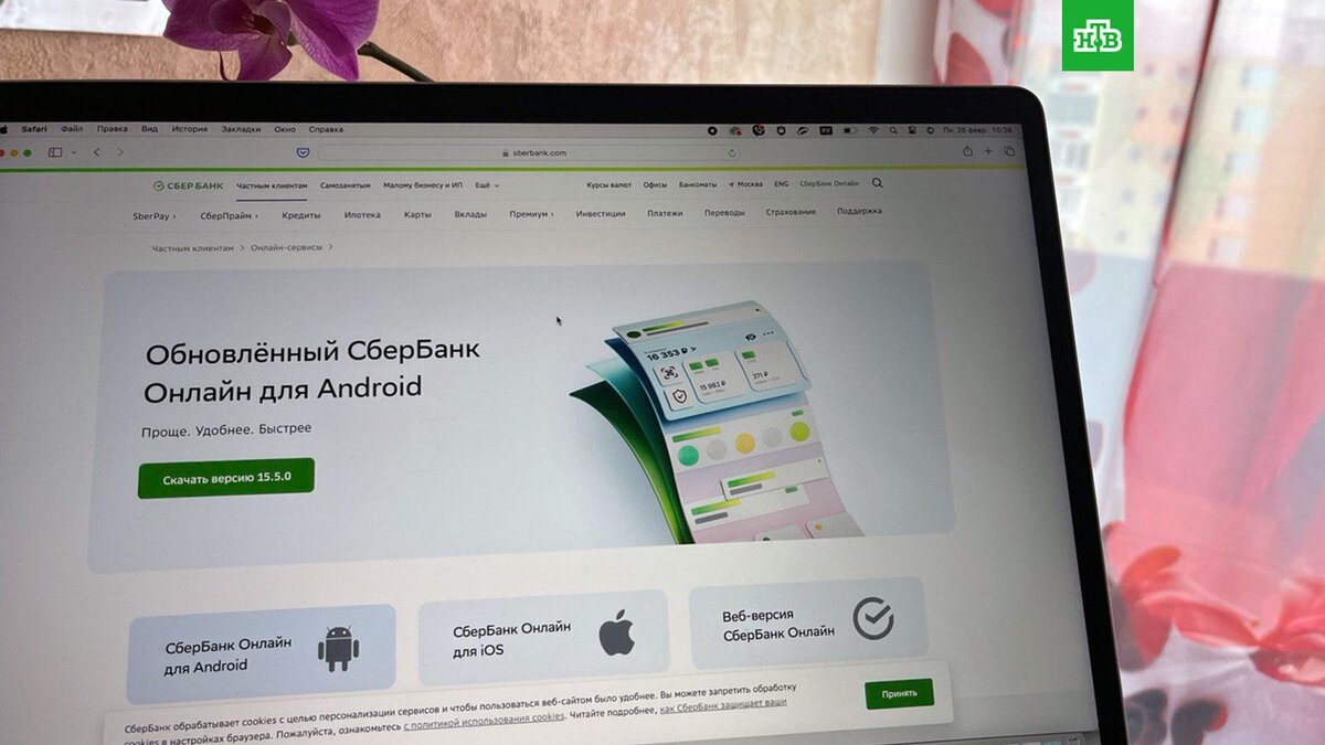 Сбербанк» призвал пользователей Android обновить онлайн-банк | НТВ: лучшее  | Дзен