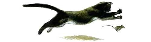 Думаю, примерно так и было)