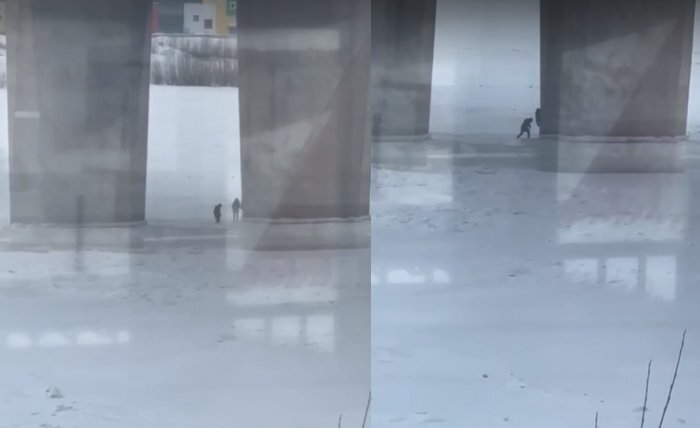 Кадр из видео очевидца. Источник: пресс-служба МАСС