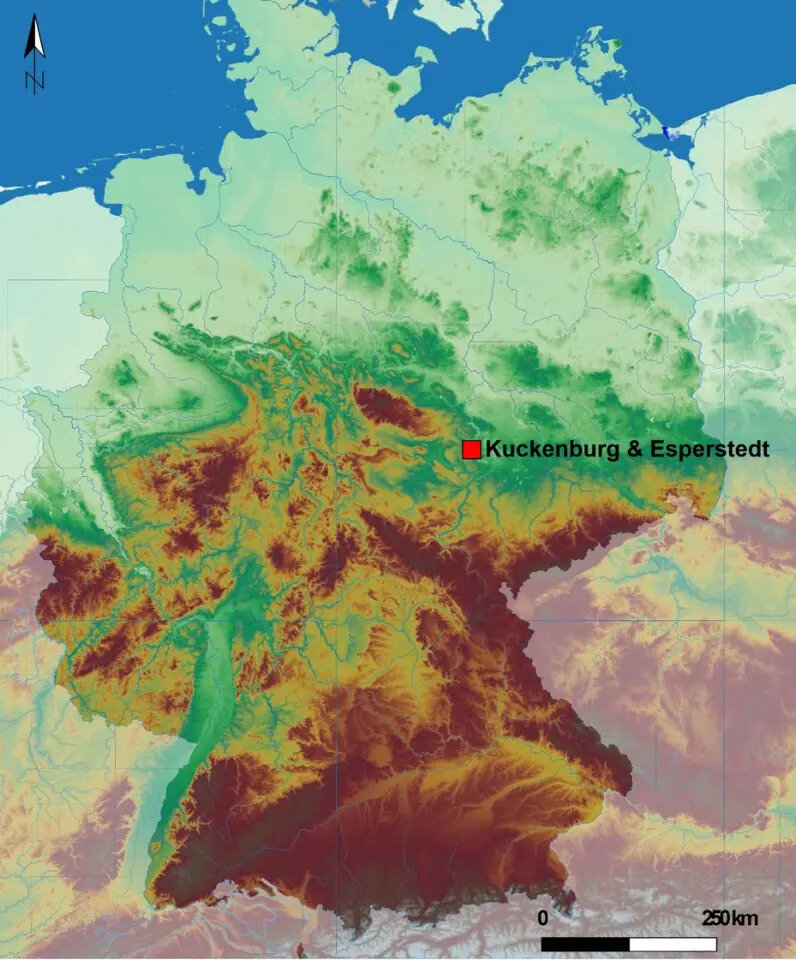   Eleftheria Orfanou et al. / Scientific Reports, 2024