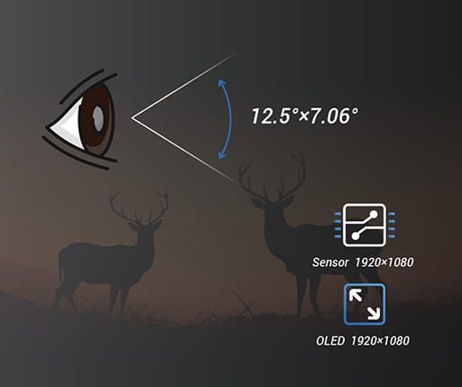 Цифровой прицел День/Ночь DR30 - новинка от компании GUIDE Серия DR - это мощный и профессиональный прицел дневного и ночного видения, оснащенный высокочувствительным CMOS-сенсором 1920 ×...-2