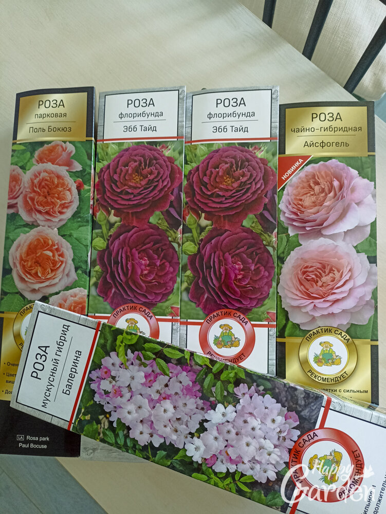 вот такие розы я заказала на весну 2024г.