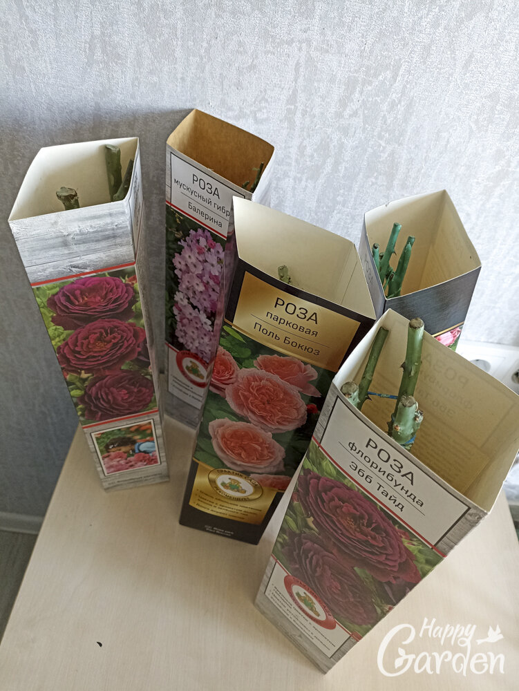 в этом году не много покупок. Лишь на точно определенные места для роз в большой круглый розарий.