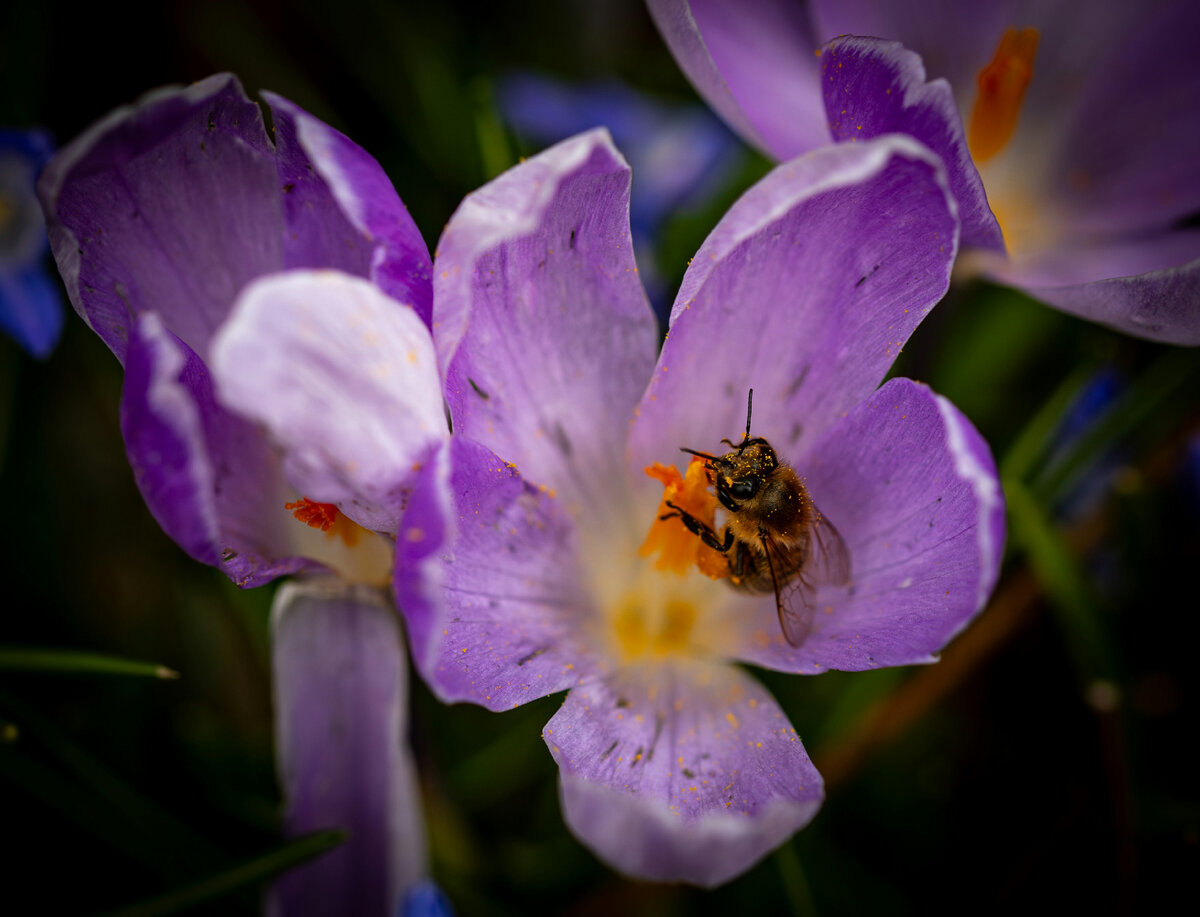 Картинка с бесплатного фотостока https://unsplash.com, автор Bernd 📷 Dittrich