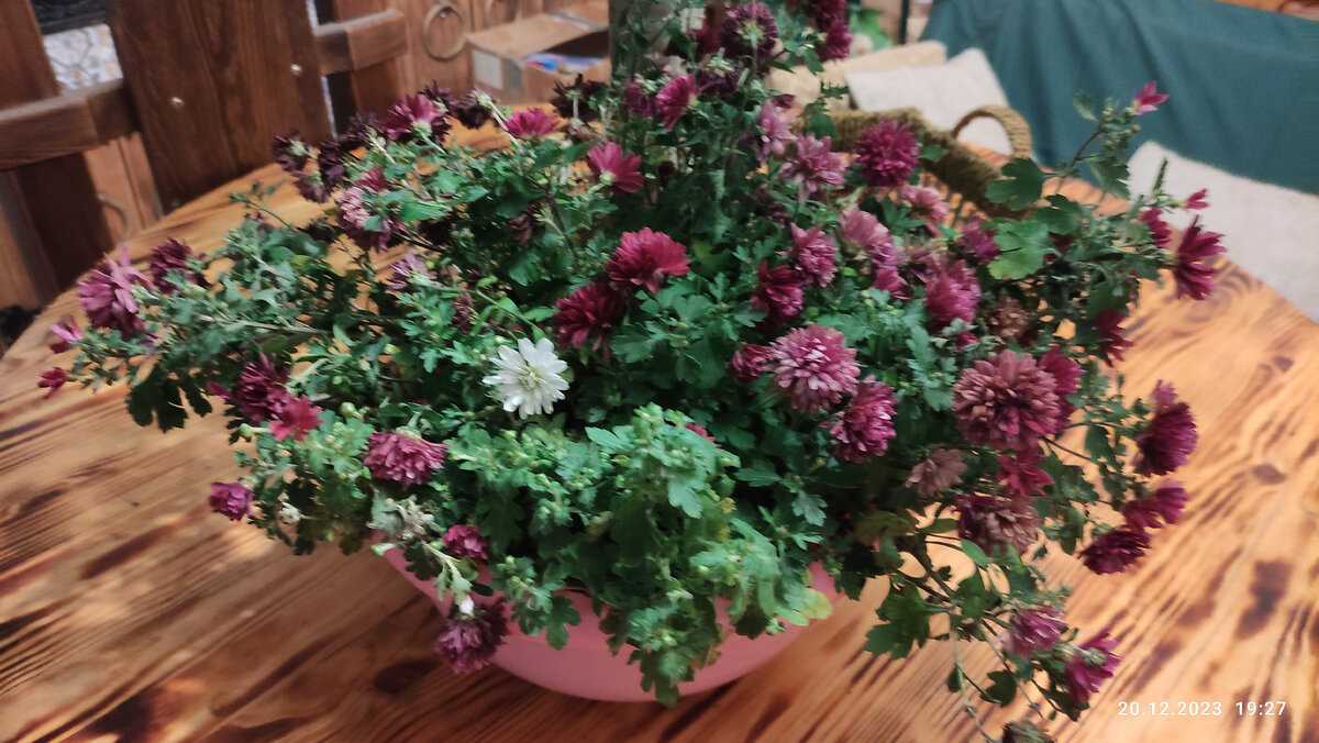 Фото автора.