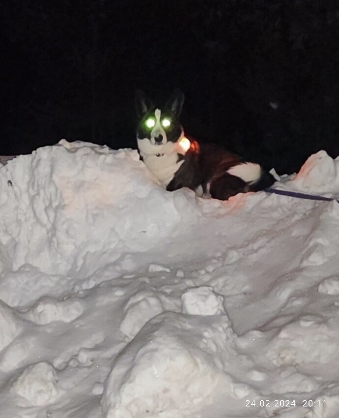 Рис. 1. Мать, я тебя насквозь вижу...