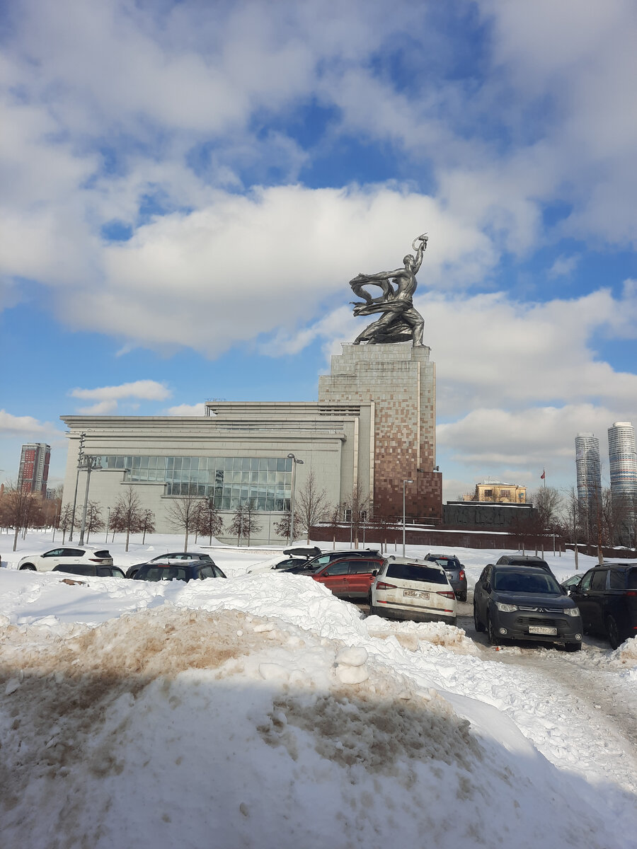 Я под лампочкой сижу, прямо в лампочку гляжу, все сижу и сижу, и конечно же  расту | Дачная авантюристка | Дзен