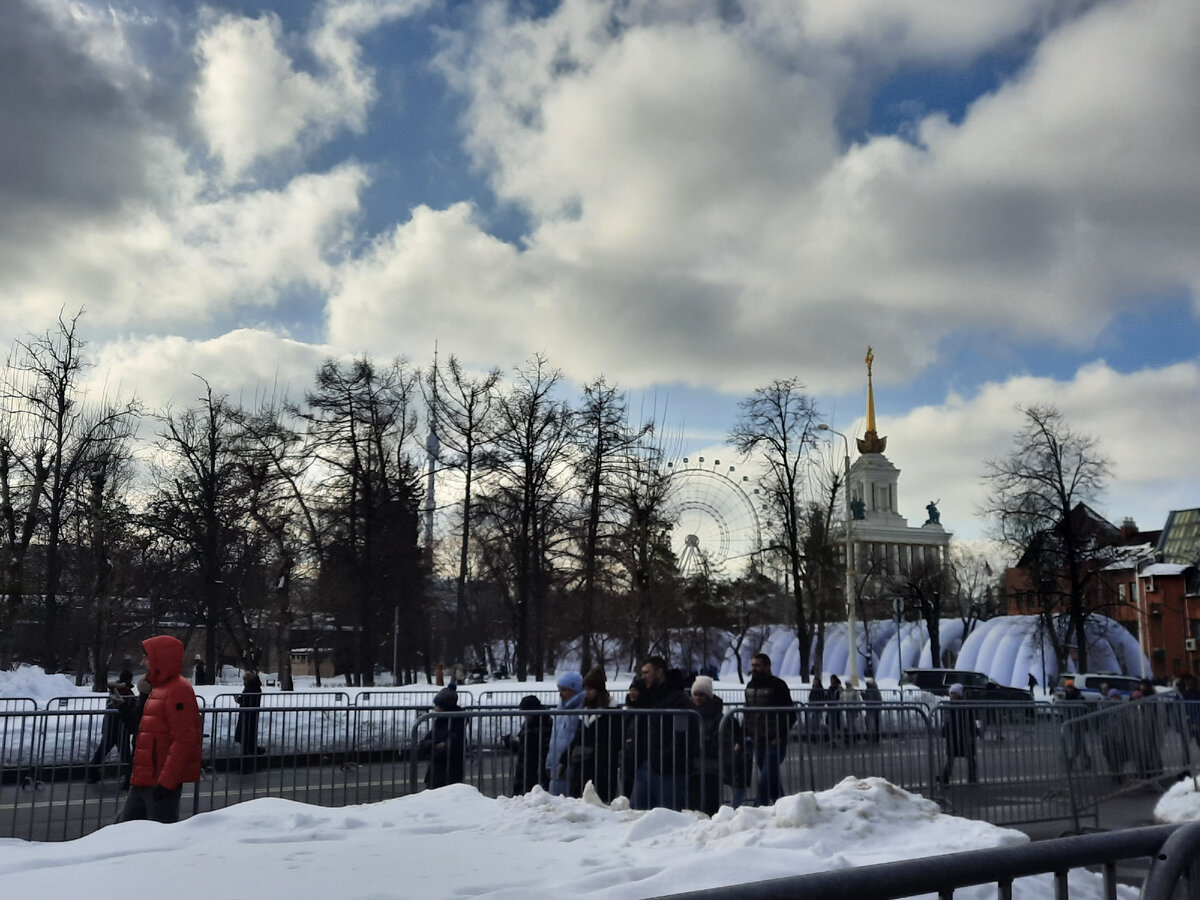 Я под лампочкой сижу, прямо в лампочку гляжу, все сижу и сижу, и конечно же  расту | Дачная авантюристка | Дзен