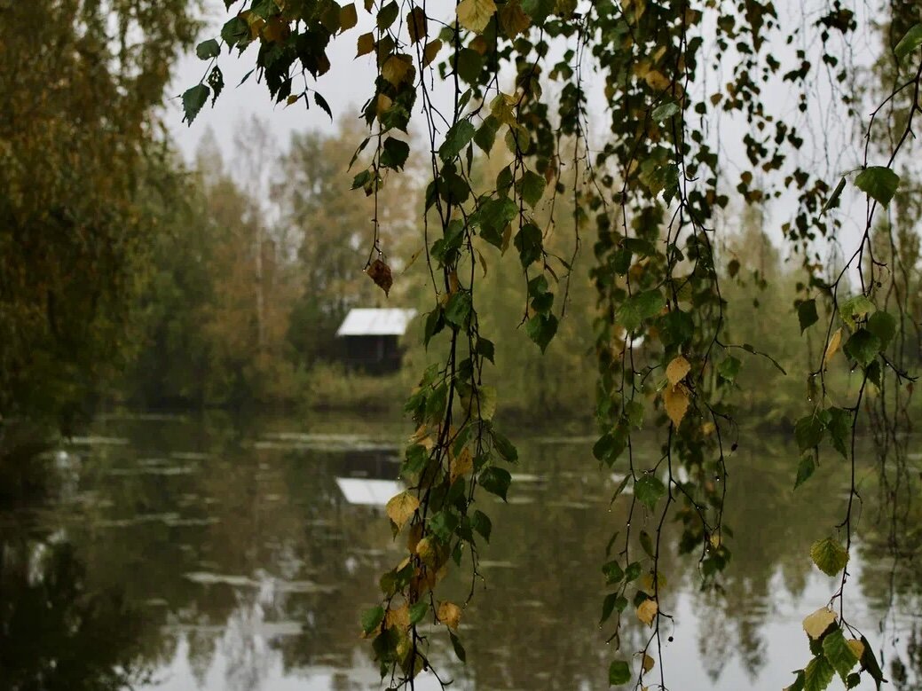Костромская слобода. г. Кострома. Листайте дальше, чтобы увидеть больше.
