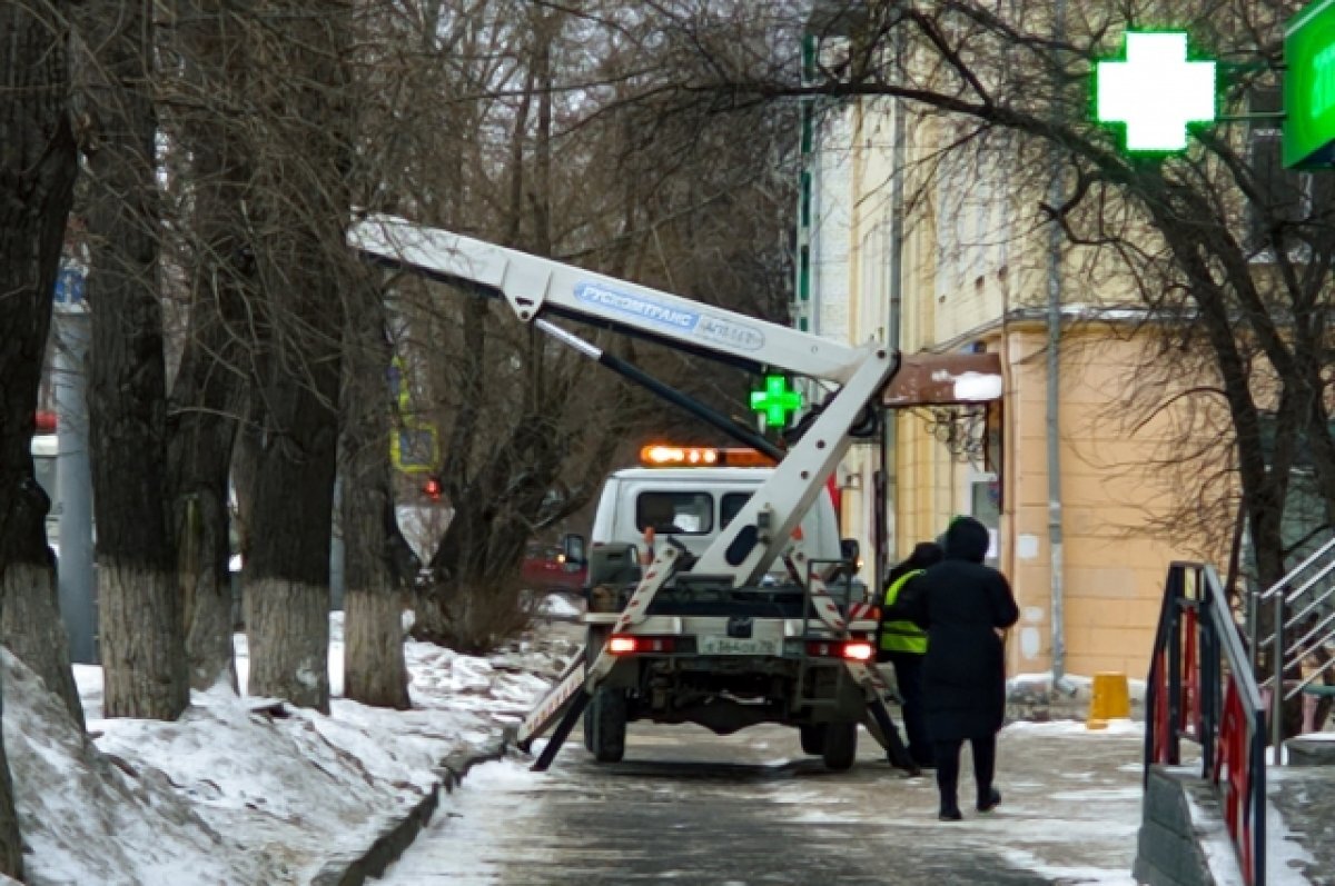    Томские энергетики помогут в озеленении города