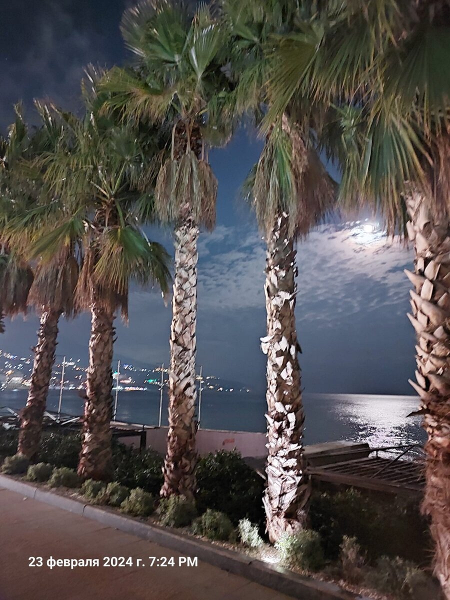 Вечерняя февральская Ялта.