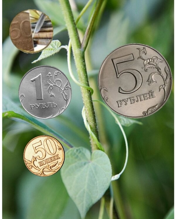 Монеты РФ.