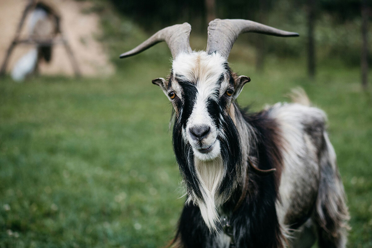    Фото: Krzysztof Kowalik / Unsplash.com
