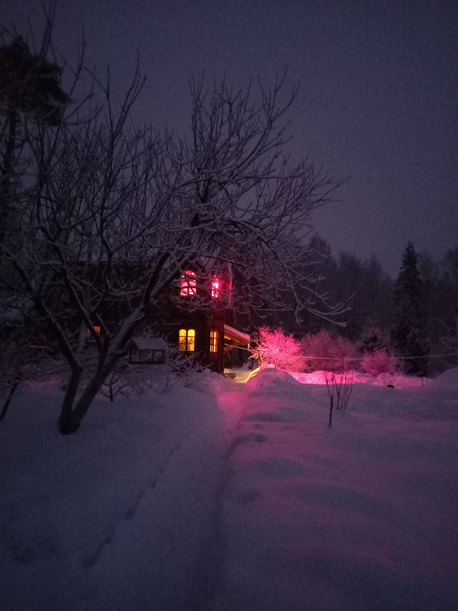 Дело в том, что на 2 этаже у меня фитолампы для цветов. И вечером вот такой красивый розовый свет! 