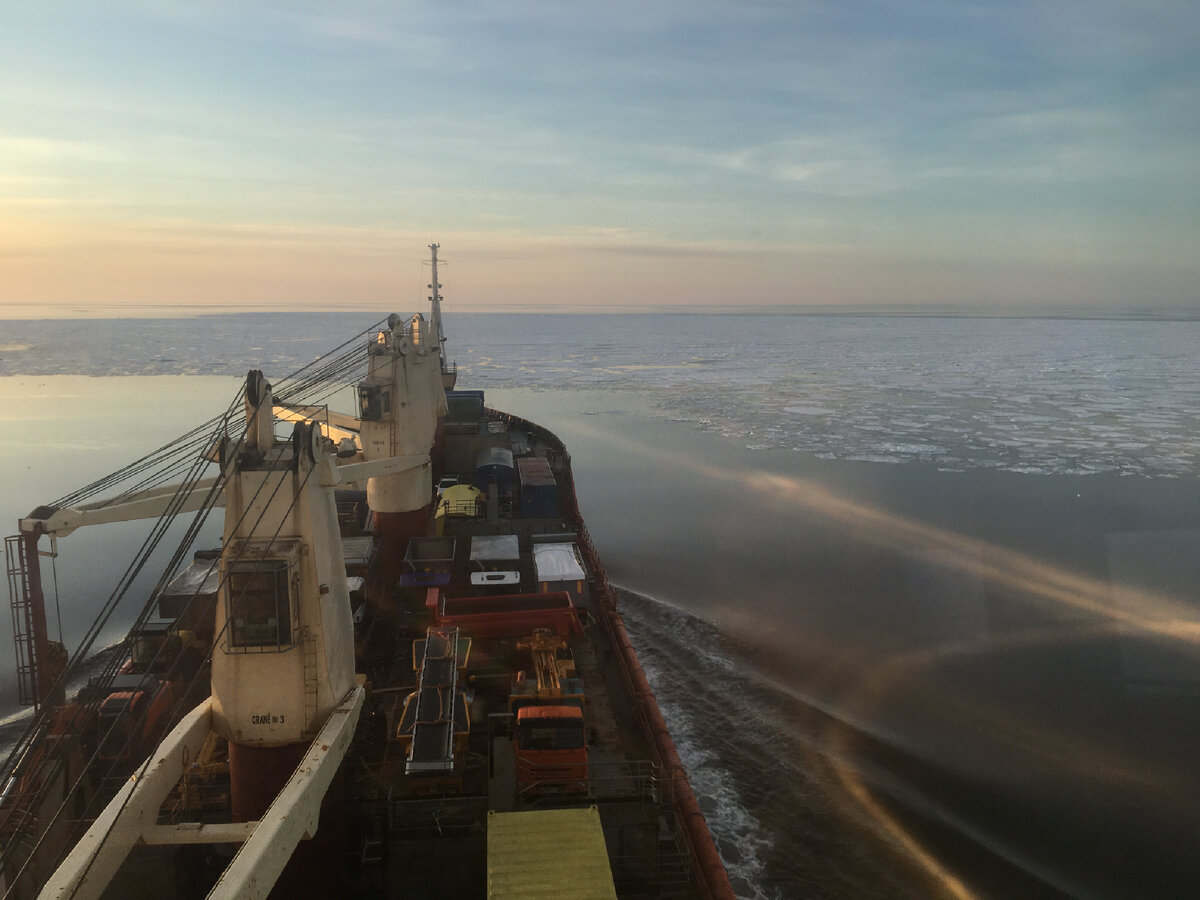 Конец марта, в белом море льда было все меньше и меньше. 