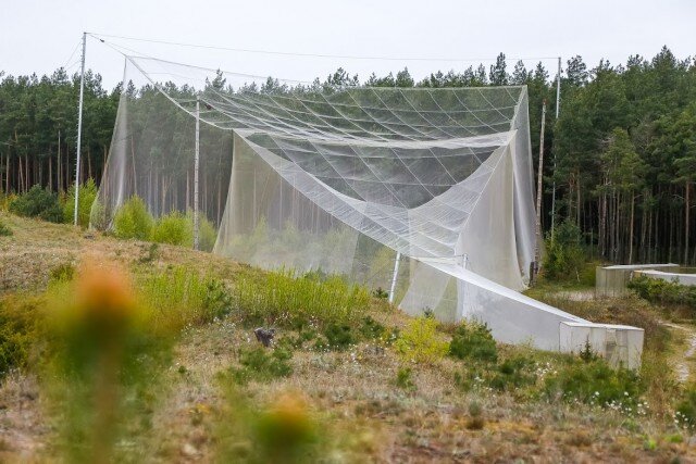   Фото из архива Калининград.Ru