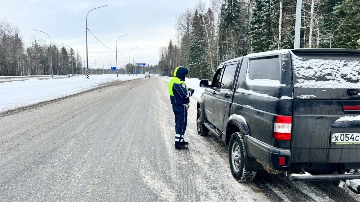 В 5 марта в Тюмени начнет работать БПЛА | TMN.SM.NEWS | Дзен