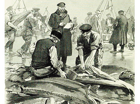 Так продавалась рыба и икра. Источник фотоматериала: https://www.ohotniki.ru/upload/ohotniki/475/05/5c/81/DETAIL_PICTURE_652514_32363374.jpg