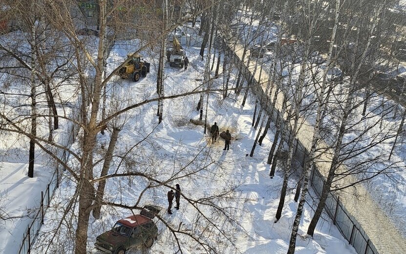    Вырубку сквера под магазин возобновили на улице Молодежной в Ижевске