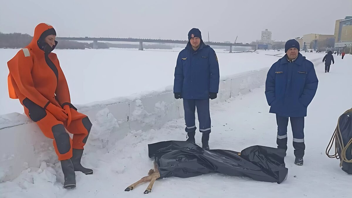     О жуткой находке рассказали в региональной пожарно-спасательной службе.