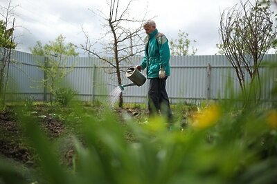    Мужчина поливает грядки на своем участке ©Виталий Тимкив РИА Новости
