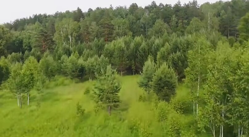 Создать карусельДобавьте описание