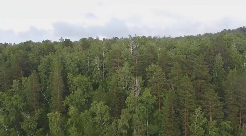 Создать карусельДобавьте описание