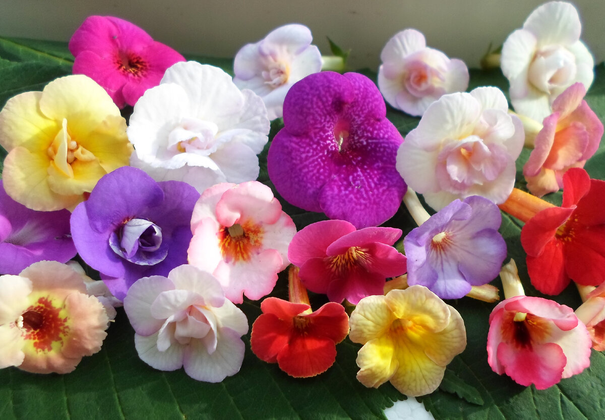 Фото из открытых источников.