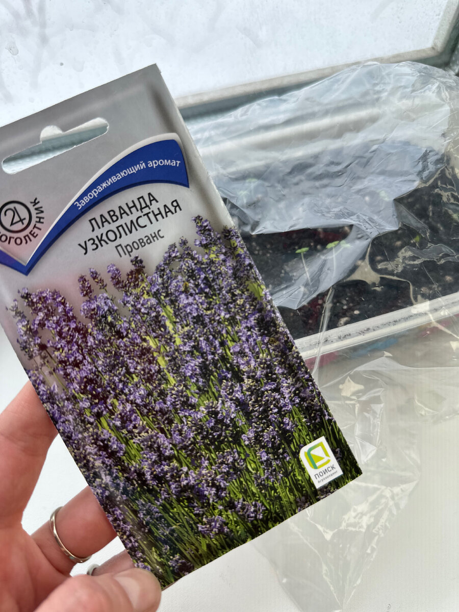 живущая самой обычной жизнью. коротко обо мне. живущая самой обычной жизнью. канатоходец над пропастью. живущая самой обычной жизнью.