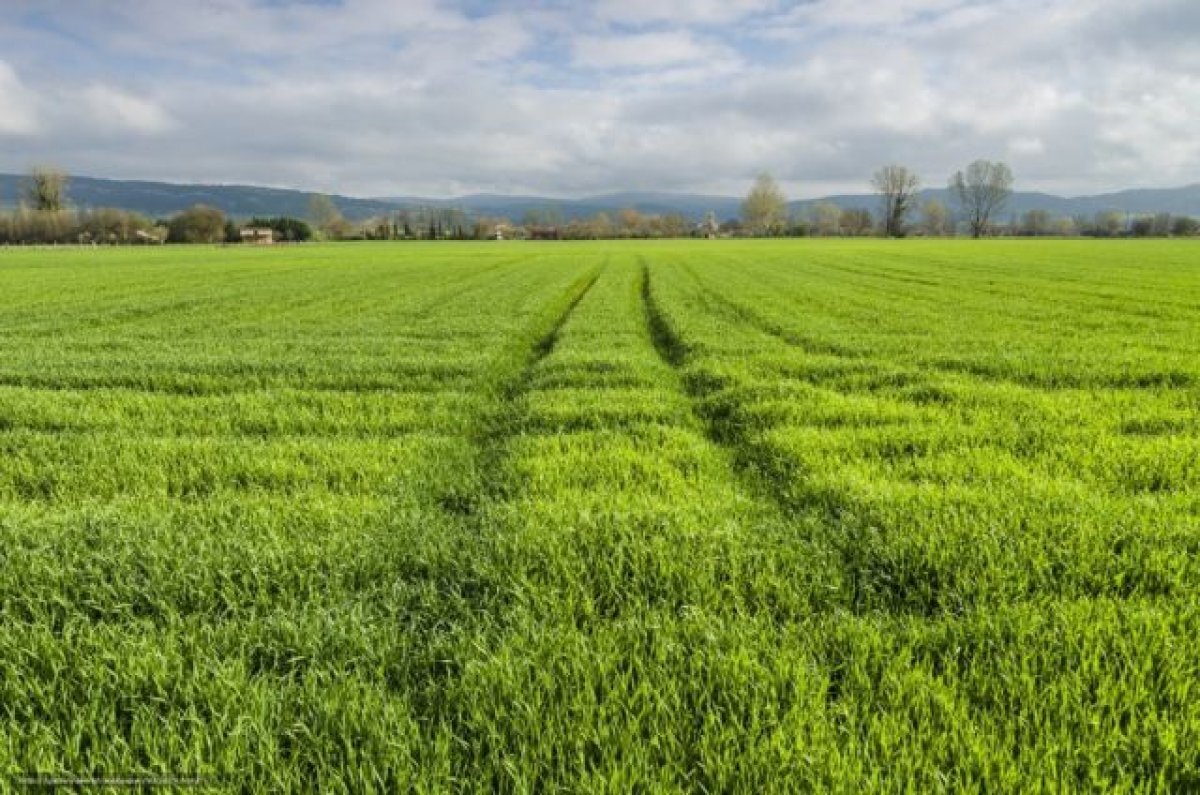    Суд вернул в госсобственность свыше 42 га земли в Майкопском районе