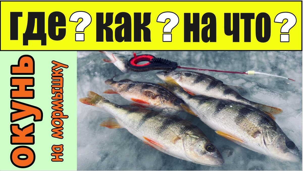 Мормышки на окуня