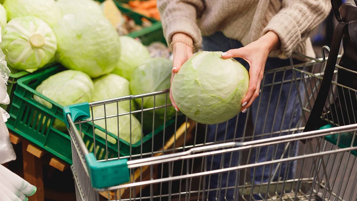    Фото: shutterstock