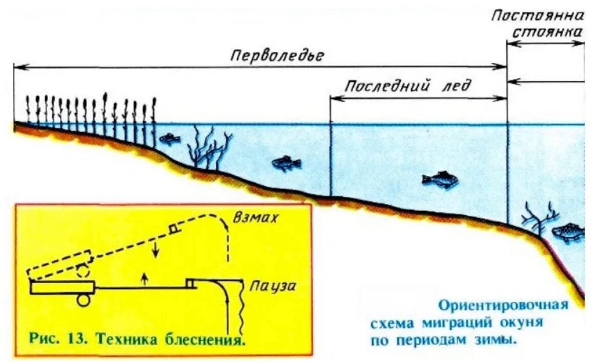 Ловля окуня на балансир | Рыбацкий | Дзен