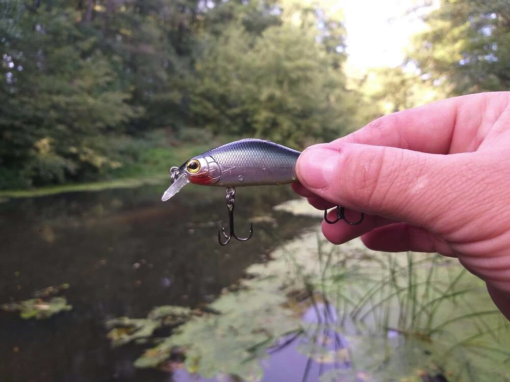 Фото с сайта: https://avatars.dzeninfra.ru