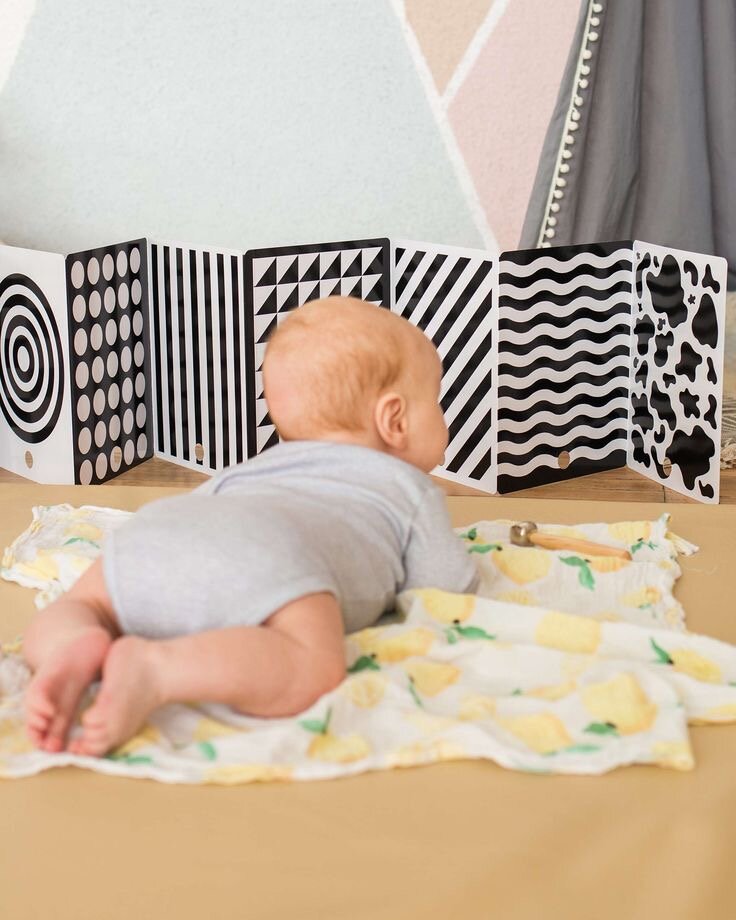 Фото из свободных источников