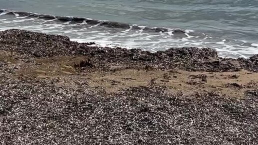 Серебряный бор пляж 2. Подруги на море. Пляжный 2 1 2 2. Пляжный 2 1 2 2. Волейбол на пляже.