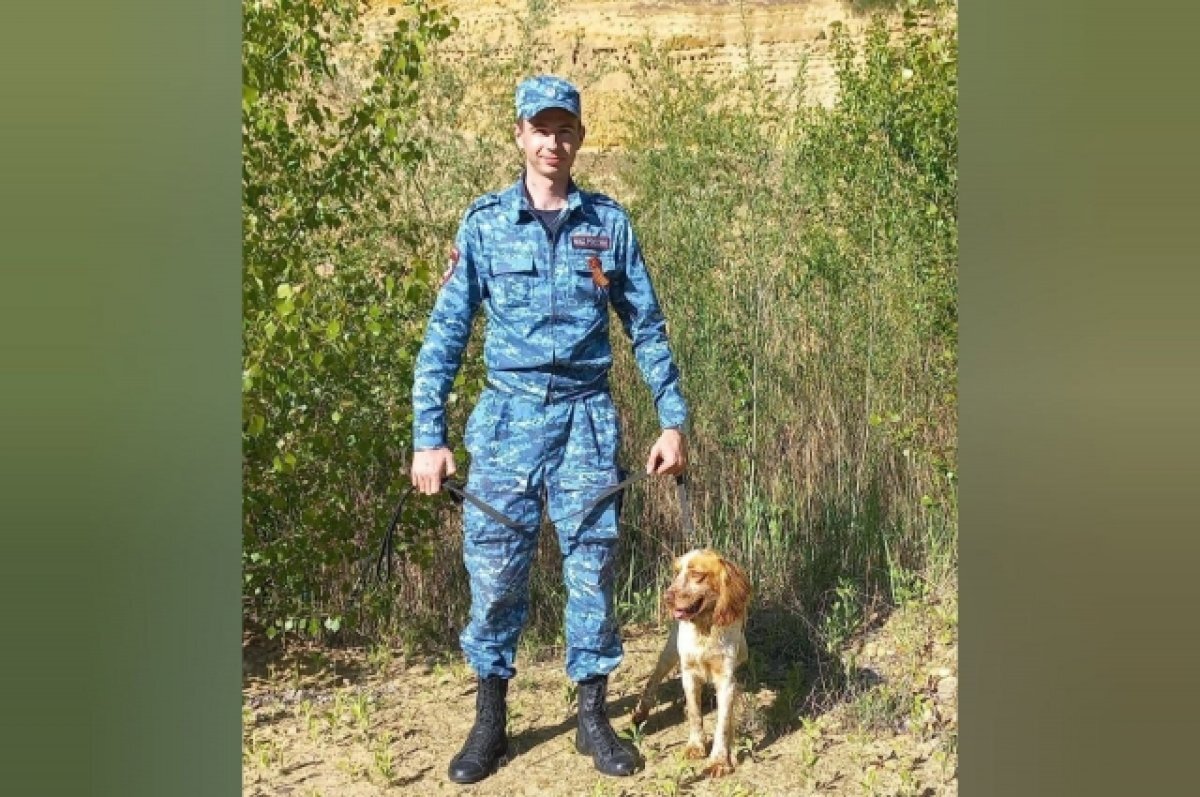    На Кубани русский спаниель выследил дом подозреваемого в краже