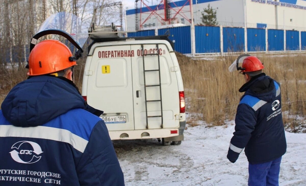    В Сургуте в 2024 году реконструируют электросети в десяти дачных кооперативах