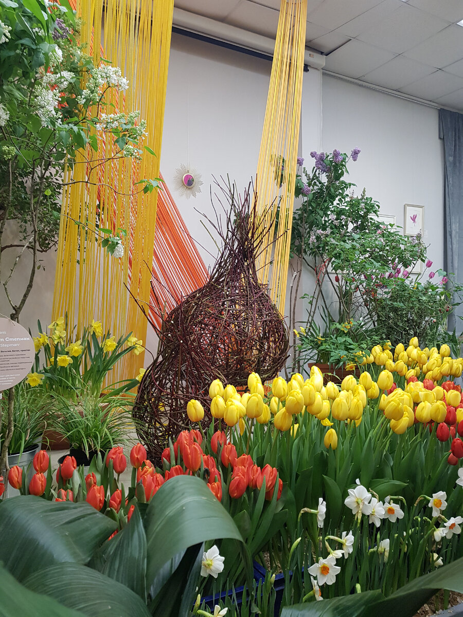 Фотография автора. Галлерея (листать вправа)