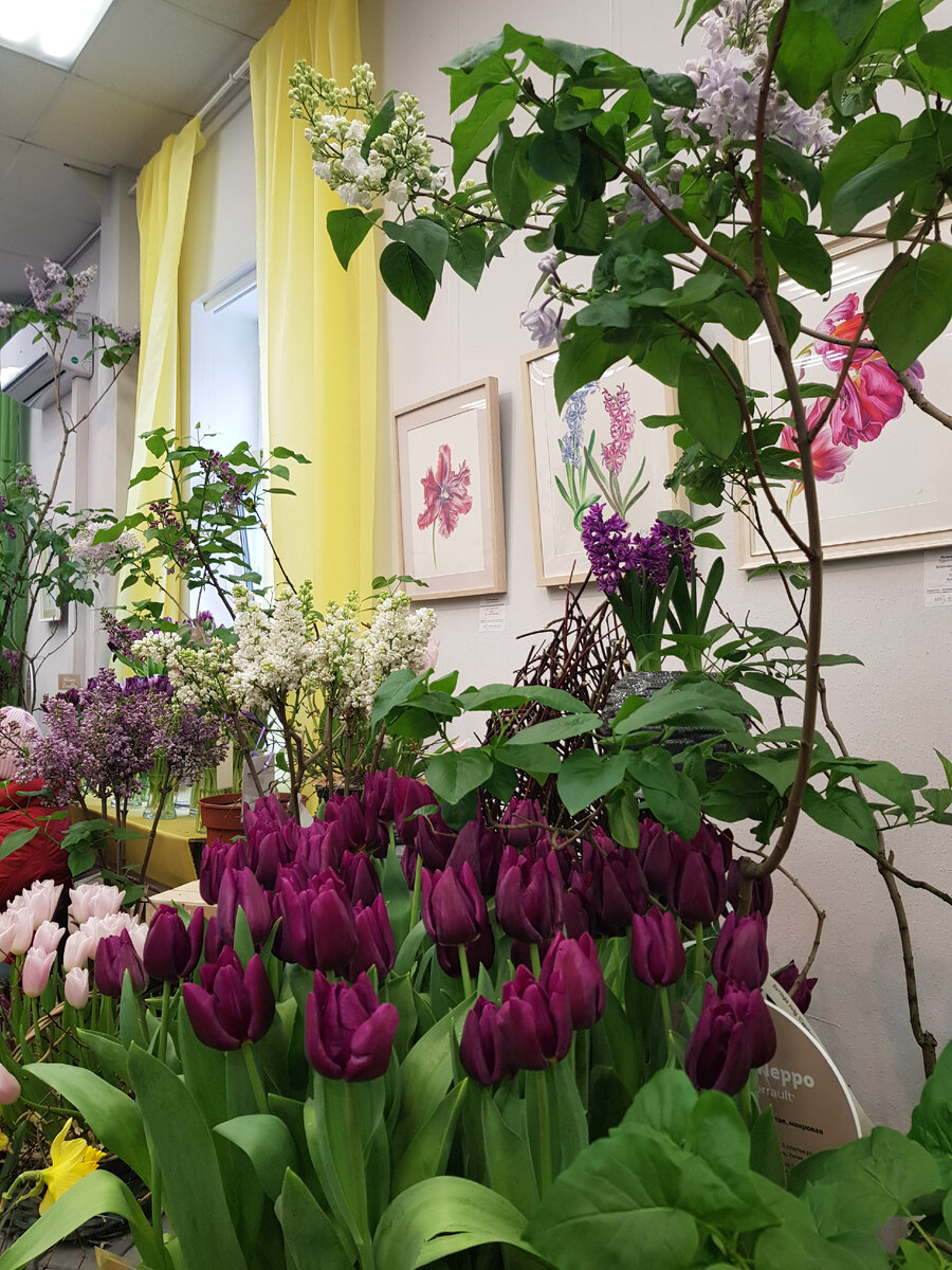 Фотография автора