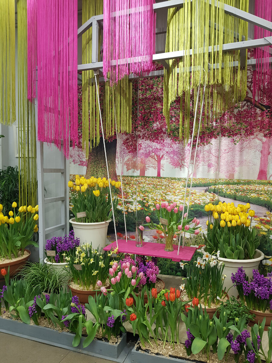 Фотографи автора. Галлерея (листать вправо)