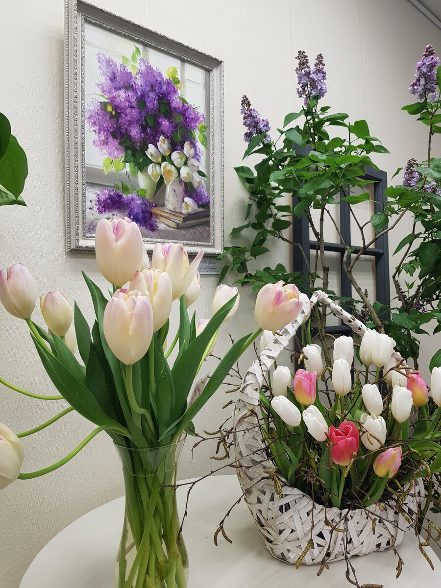 Гармония сирени и белоснежных тюльпанов.