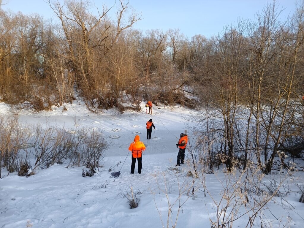    Фото: группа «Поисковый отряд «ЛизаАлерт» Псковская область» в соцсети ВК