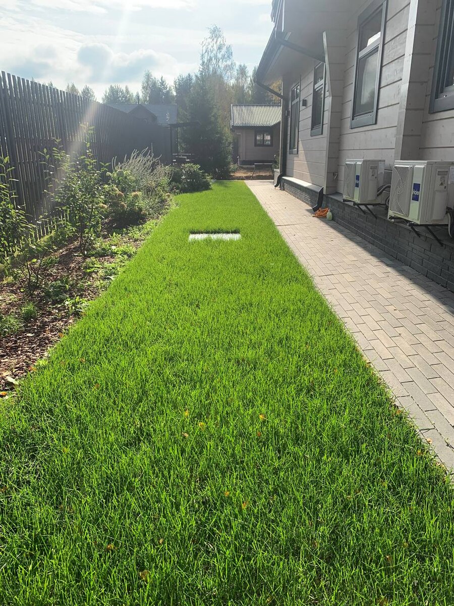 Реализованный объект Компании Красиво Групп. Уклдака рулонного газона "Премиум"