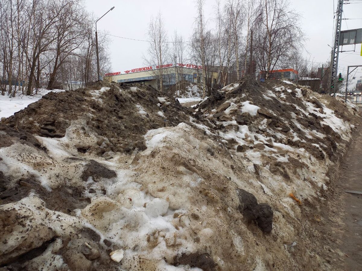    Петрозаводск выглядит неприглядно в преддверии весны: грязный снег, фекалии, лужиКсения Сорокина