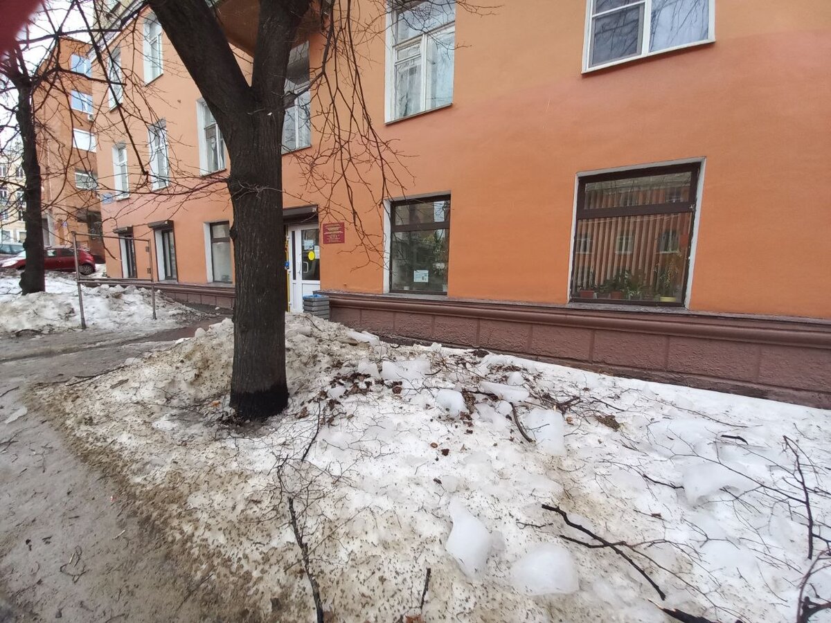    Петрозаводск выглядит неприглядно в преддверии весны: грязный снег, фекалии, лужиКсения Сорокина