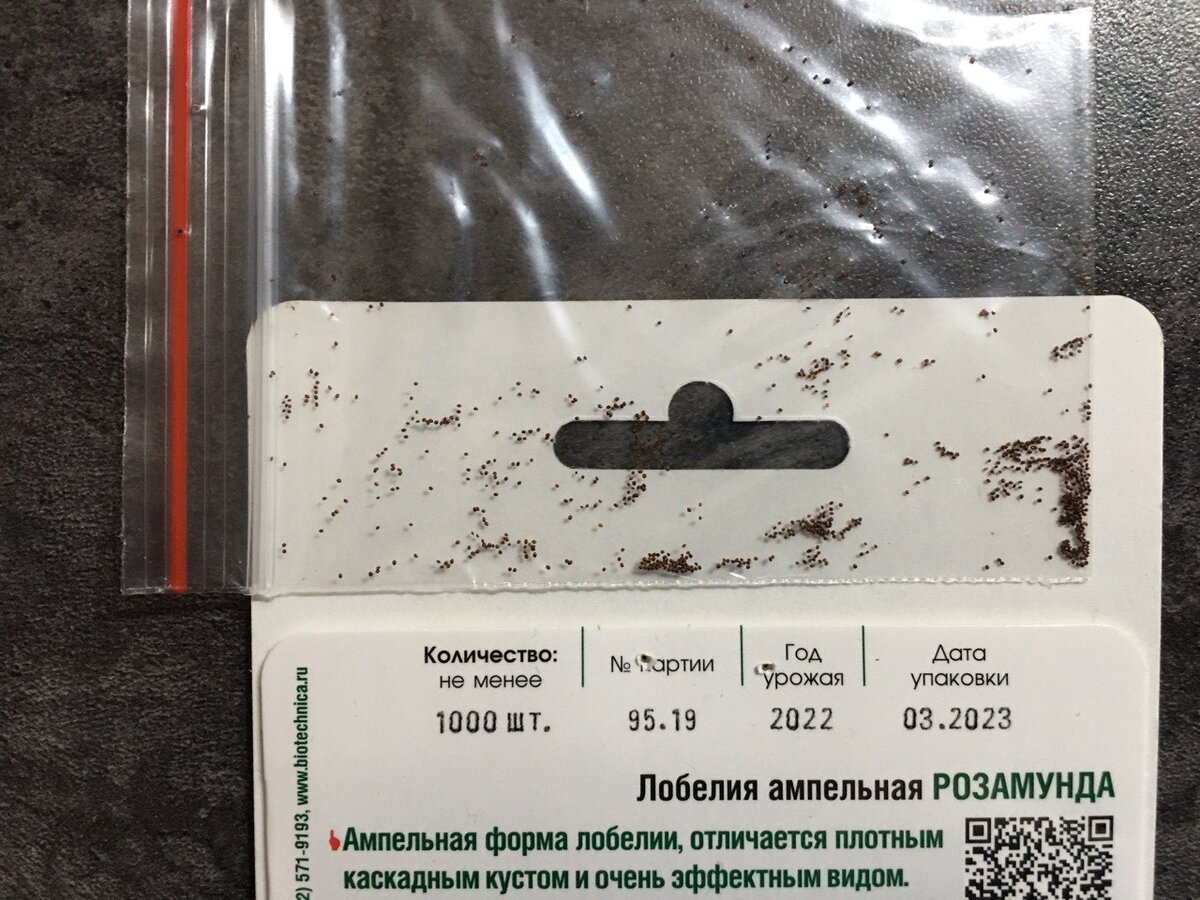 Вот так выглядит тысяча семян лобелии)