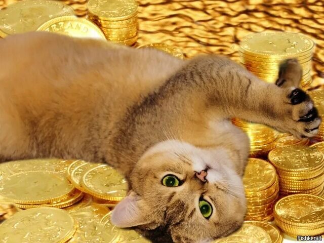 трамп тауэр нью-йорк интерьер. квартиры чеченцев. богатые цыгане. кабинет дональда трампа в трамп тауэр. апартаменты дональда трампа в трамп тауэр.