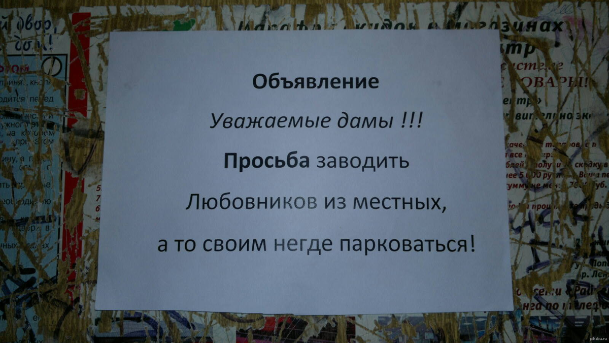 25 Безумных и Нелепых объявлений в подъездах. | Женя Миллер | Дзен